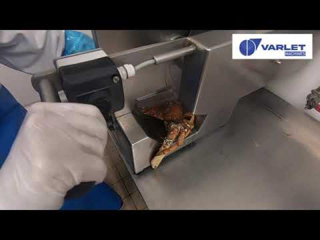Preview image for the video "V401S - Trancheur à poisson et crustacés / Fish and shellfish slicer".