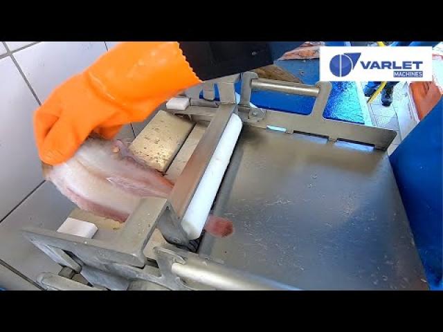 Preview image for the video "V368  - Ecorcheuse à poisson (Sole) / Fish Skinner (Sole)".