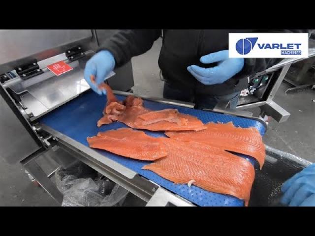 Preview image for the video "V1258  - Peleuse à poisson automatique (Truite Fumée) / Automatic fish skinner (smoked trout)".