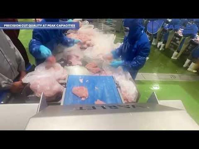 Preview image for the video "V1330VA en action : dépiautage blancs de poulet | Automatic chicken breast skinning".