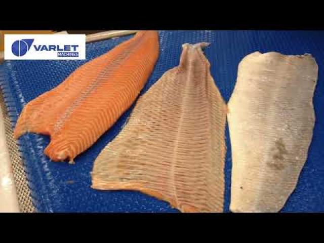Preview image for the video "V3568 / V3668 - Peleuse automatique combinée - Automatic combined fish fillet skinner".