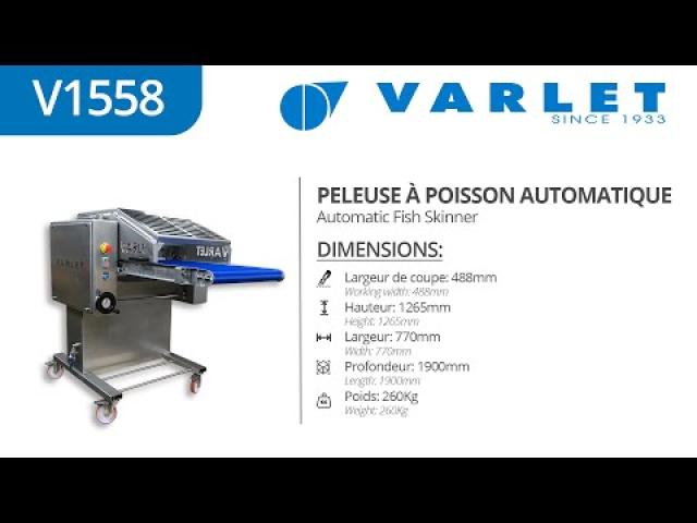 Preview image for the video "V1558 - Peleuse à poisson Automatique (Saumon) / Automatic Fish Skinner (Salmon)".