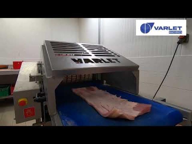 Preview image for the video "V1330D - Découenneuse automatique (porc) / Automatic derinder (pork)".