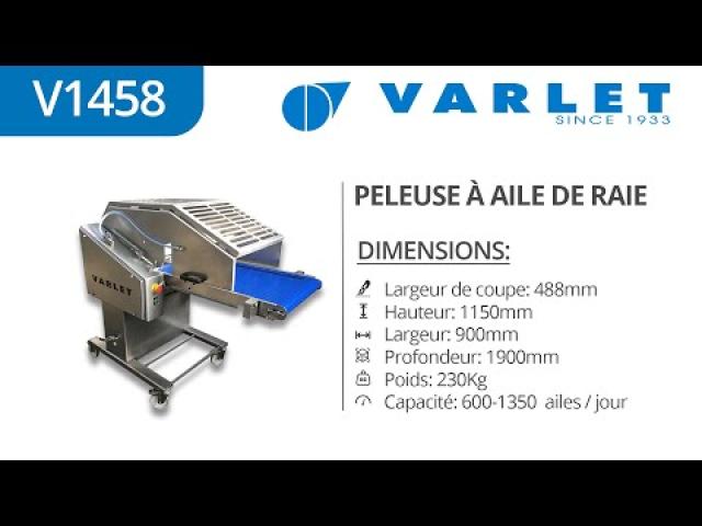 Preview image for the video "V1458 - Peleuse à poisson Automatique (Sole) / Automatic Fish Skinner (Sole)".