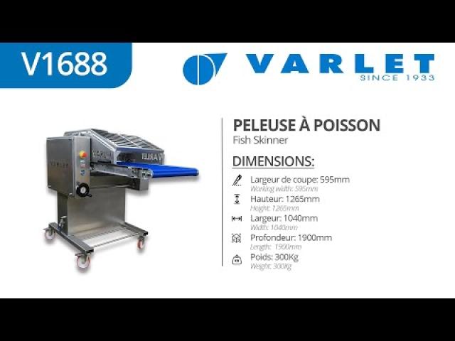 Preview image for the video "V1688  - Peleuse à poisson (Cebaste - Rascasse) / Fish Skinner (Scorpionfish)".