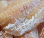 Poisson blanc