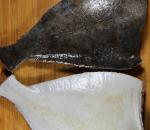 Poisson plat