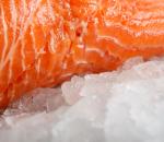 Salmon & Trout